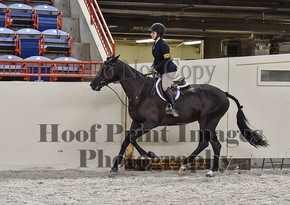 HNHS(8-26-16)1986