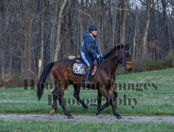 ChesapeakeSpring(4-10-22)0383