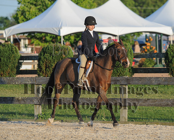 BRSa(5-17-14)SMChP0115