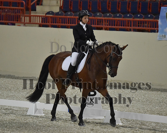 CWdressageII(8-21-16)1600