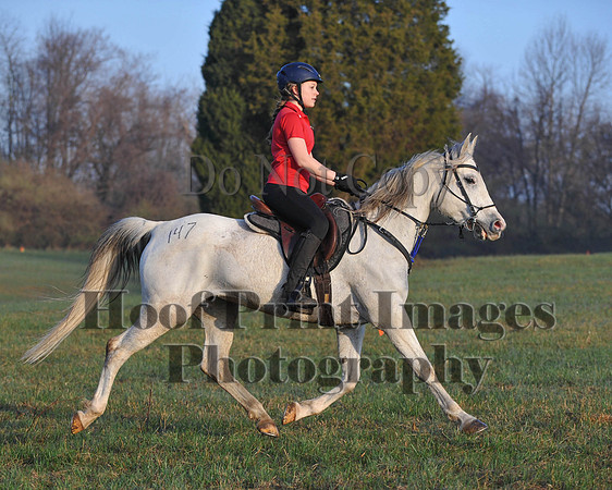 Foxcatcher(4-12-14)0403