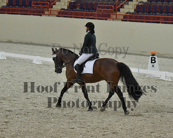 CWdressageII(8-21-16)1307