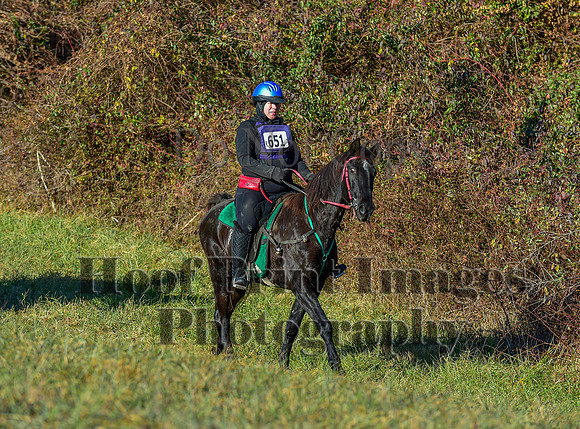 FairHillFallPC(11-30-24)0024