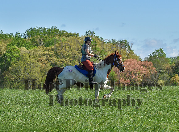 ChesapeakeSpring(4-27-25)0428