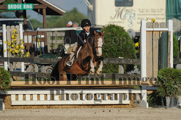 BRSa(5-17-14)SMChP0070