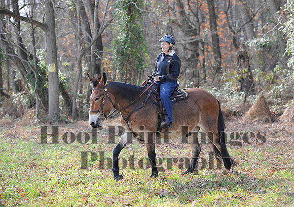 AndrewsBr(11-9-14)0575