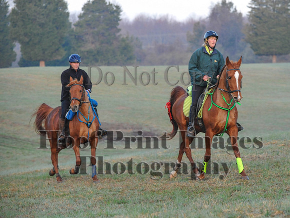 Foxcatcher(4-12-14)0163