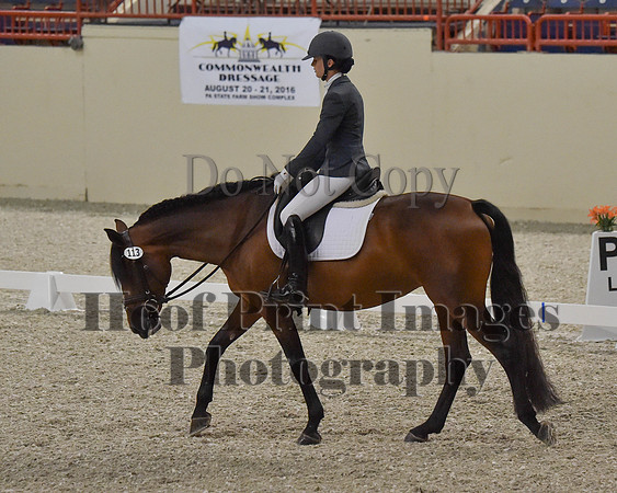 CWdressageII(8-21-16)1129