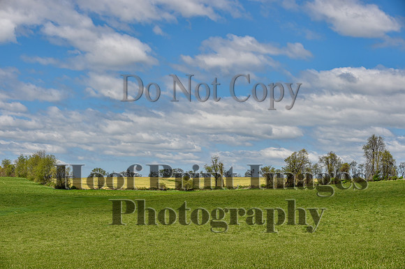 MrStewartsCheshirePC2(4-27-25)0099