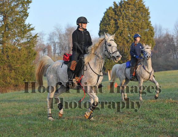 Foxcatcher(4-12-14)0229
