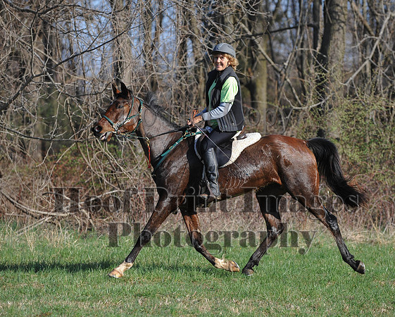 Foxcatcher(4-12-14)0582