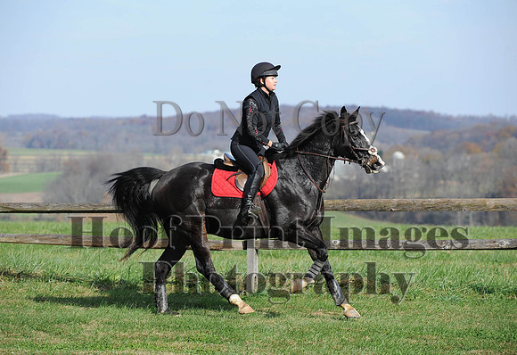 AndrewsBr(11-9-14)0306