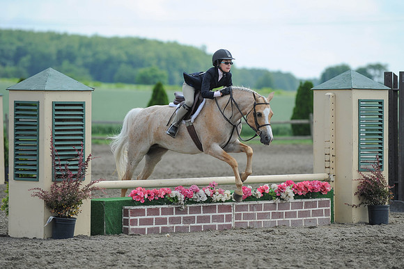 SC(6-28-14)SMPony0036