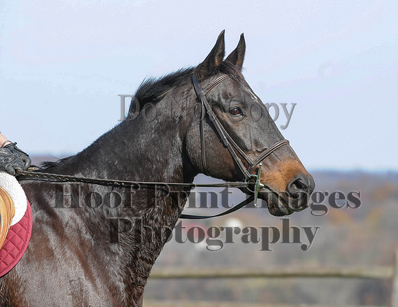 AndrewsBr(11-9-14)0492