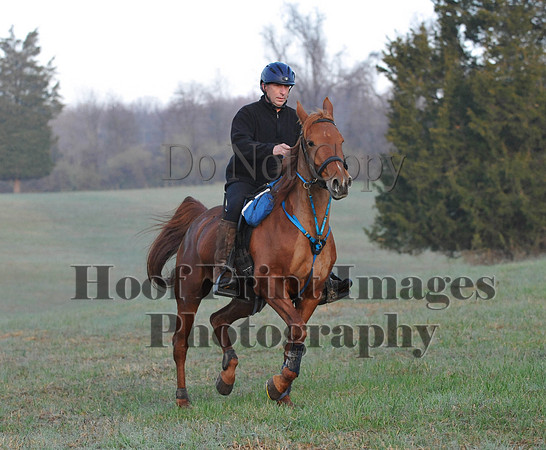 Foxcatcher(4-12-14)0169