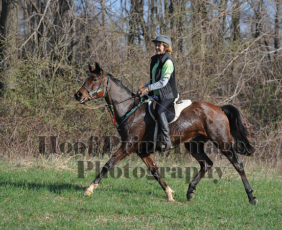 Foxcatcher(4-12-14)0580