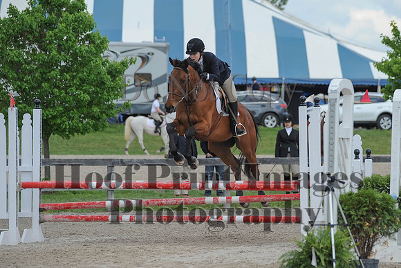 BRSa(5-17-14)0.8mJCl0025