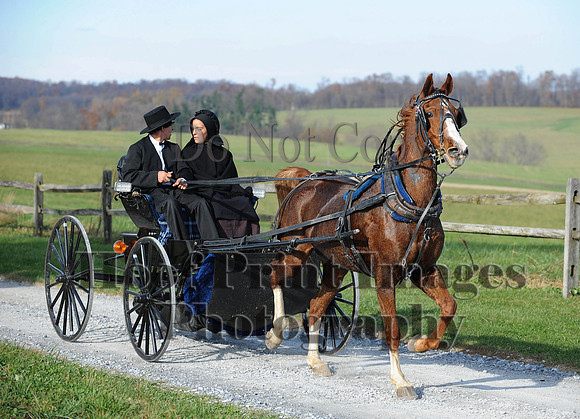 AndrewsBr(11-9-14)0679