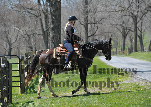CheshirePC(4-16-16)0244