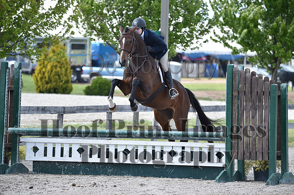 StCSun(5-15-16)PrAd0137