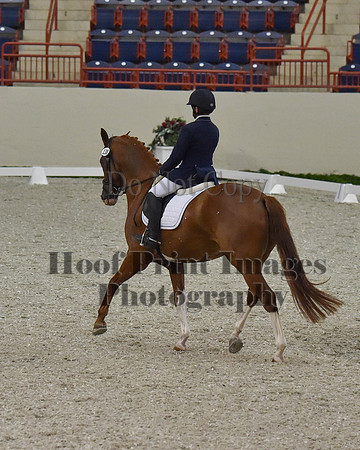 CWdressageII(8-21-16)1201