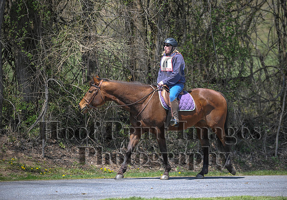 CheshirePC(4-16-16)0431