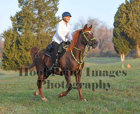 Foxcatcher(4-12-14)0208