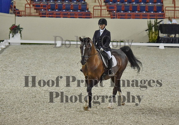 CWdressageI(8-20-16)0193
