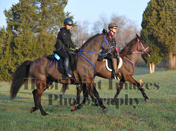 Foxcatcher(4-12-14)0265