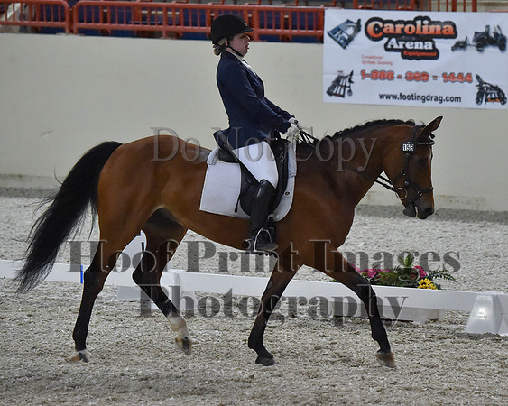 CWdressageII(8-21-16)2103