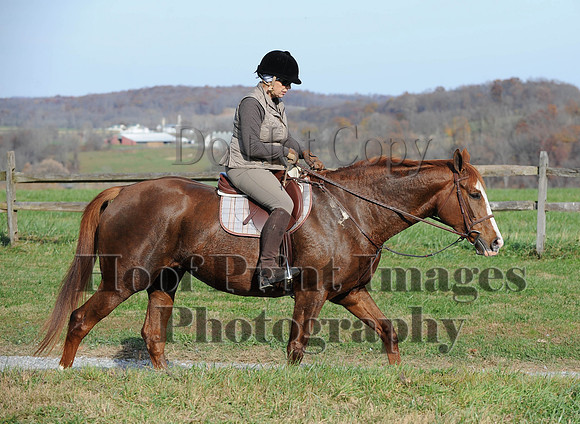 AndrewsBr(11-9-14)0612