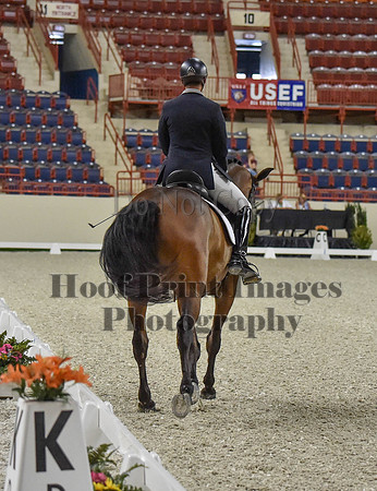 CWdressageI(8-20-16)0469