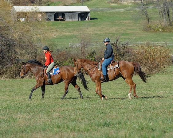 BHPC(11-15-15)0585
