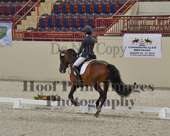 CWdressageII(8-21-16)1143