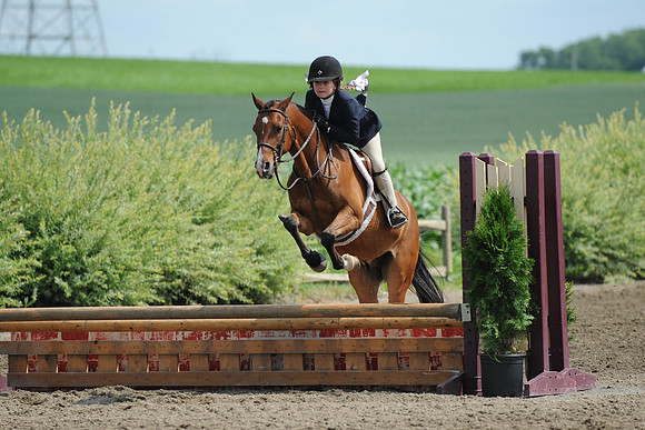 SC(6-28-14)SMPony0045