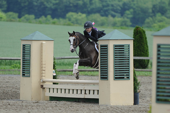 SC(6-28-14)SMPony0084