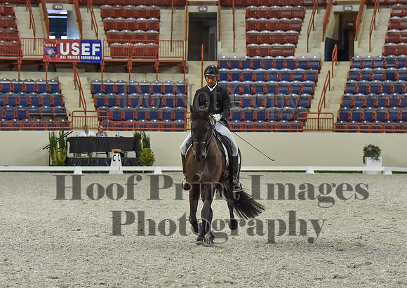 CWdressageI(8-20-16)1125