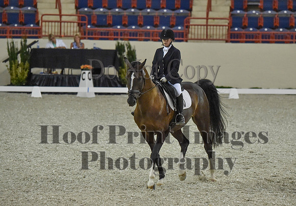 CWdressageI(8-20-16)0191