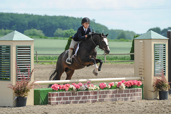 SC(6-28-14)SMPony0047