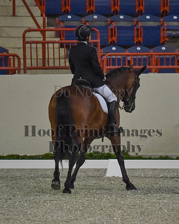 CWdressageII(8-21-16)0481