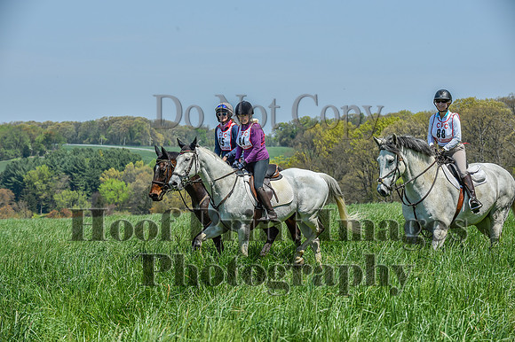 CheshireSpringPC1(4-28-24)0531
