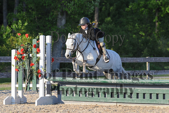 BRSa(5-17-14)SMChP0098