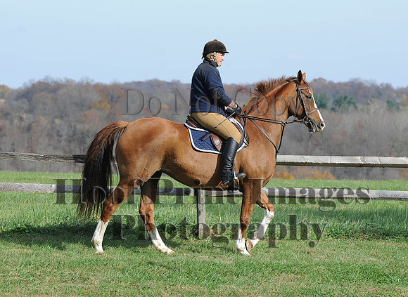 AndrewsBr(11-9-14)0412