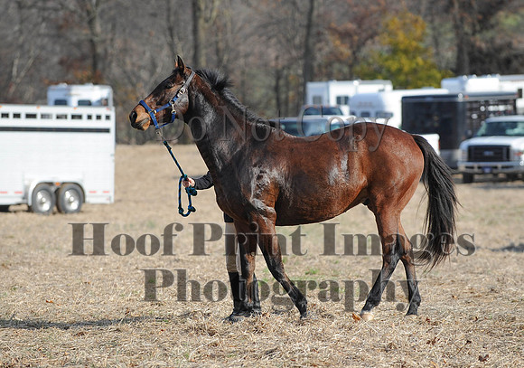 AndrewsBr(11-9-14)0684