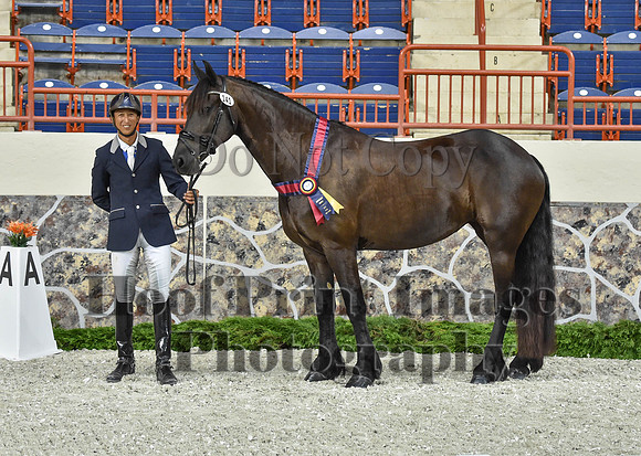 CWdressageI(8-20-16)1194