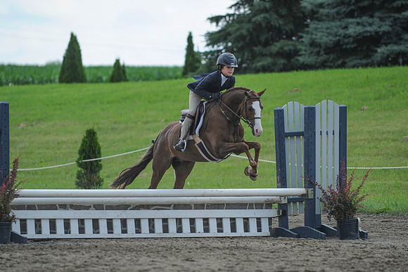 SC(6-28-14)SMPony0043