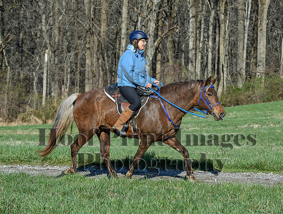 ChesapeakeSpring(4-10-22)0431