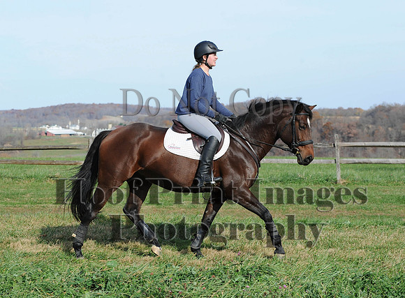 AndrewsBr(11-9-14)0512