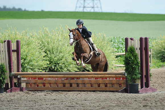 SC(6-28-14)SMPony0042