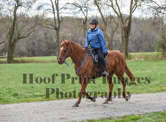 ChesapeakeSpring(4-10-22)0571